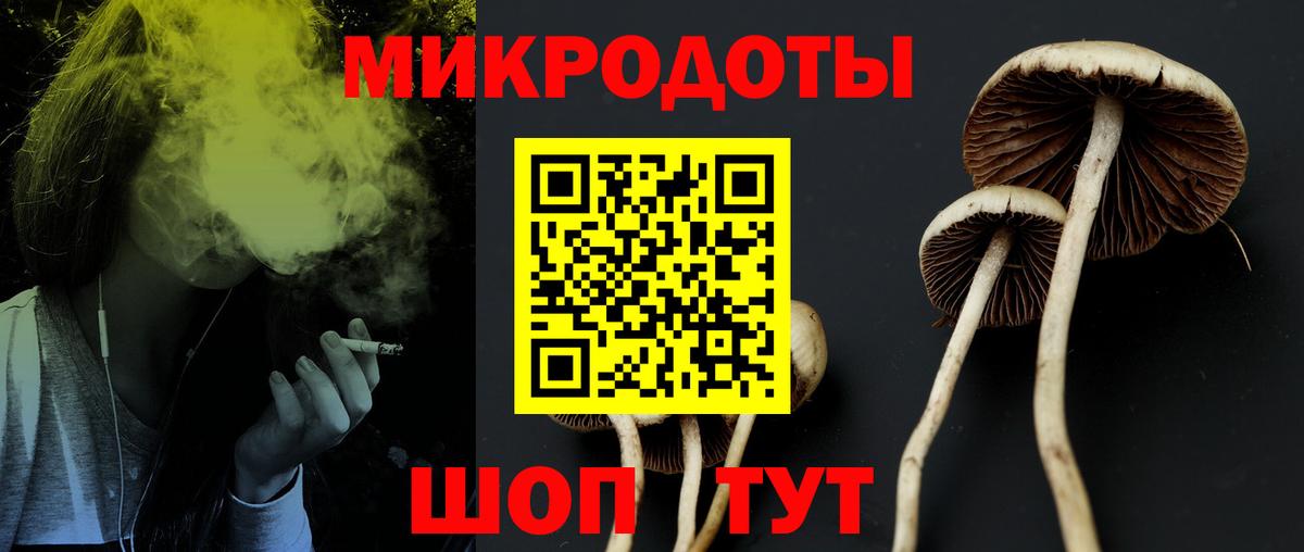 Псилоцибиновые грибы Cubensis  Псилоцибиновые грибы MAGIC MUSHROOMS  Пермь  Вход с VPN 