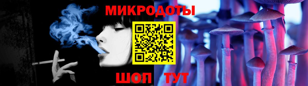 Псилоцибиновые грибы Psilocybe Пермь
